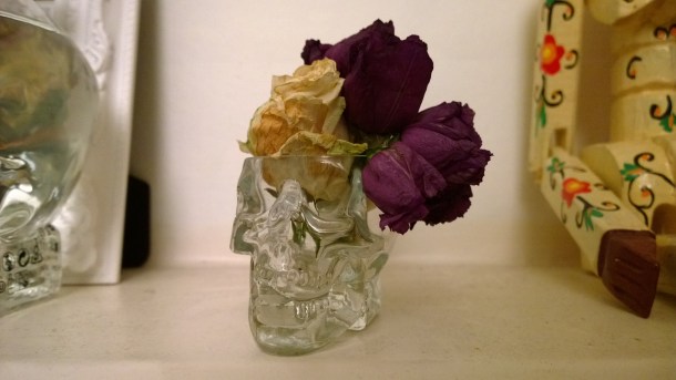 WP_20140115_17_44_25_Pro