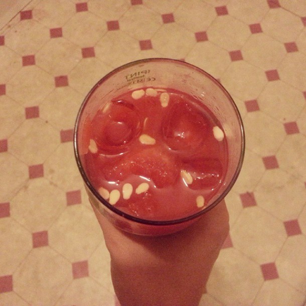 katie poole diy watermelon cocktail