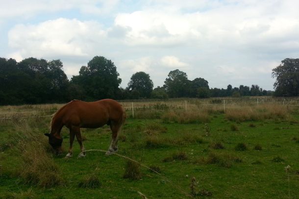 Thames Path Challenge for Barts Cancer Institute 10