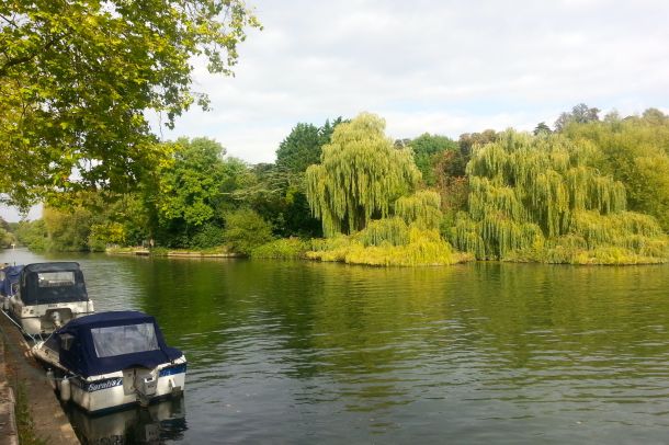 Thames Path Challenge for Barts Cancer Institute 12