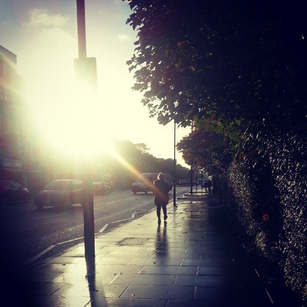 When the sun shines in that super bright way during the morning commute that just feels so distinctly autumnal.