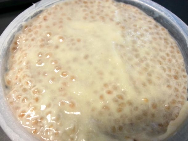 chia-pod-and-chia-oats-09