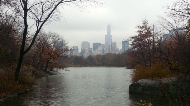 nyc central park view on a rainy day