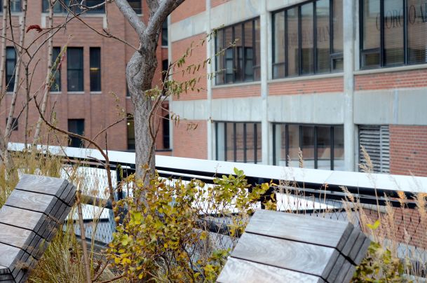 These sun loungers on The High Line would be great in the summer! 