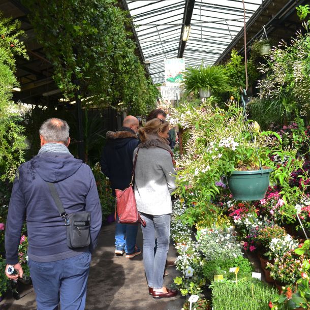 Paris Street Views - 13