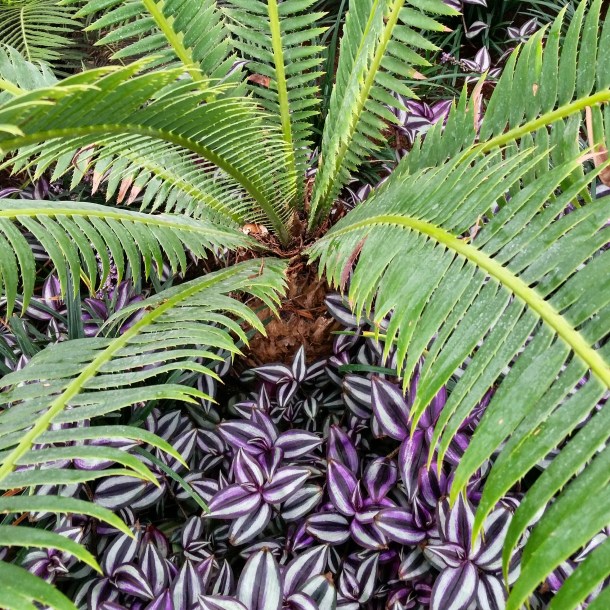 The Sky Garden London 13