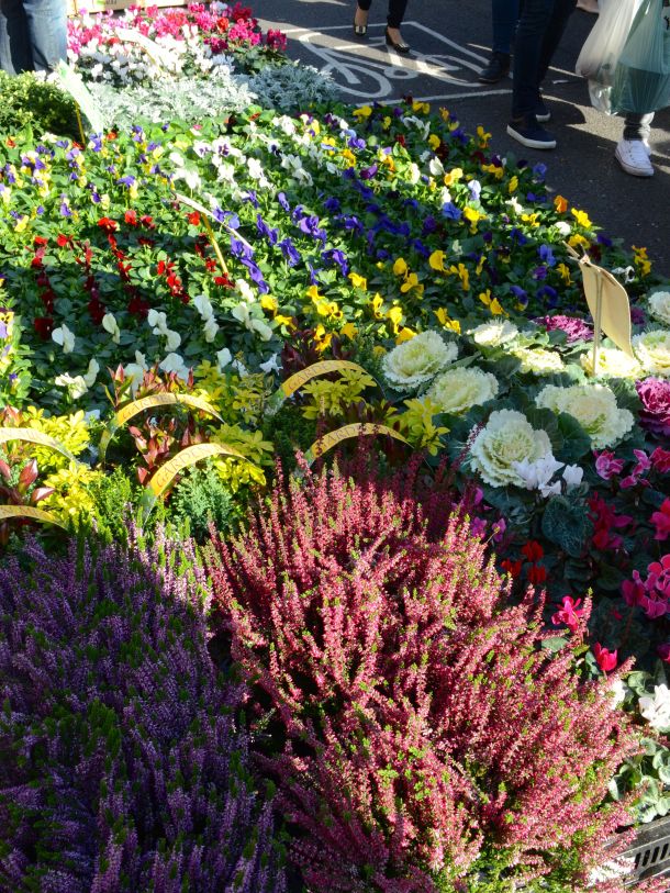 Call Me Katie - Columbia Road Flower Market in East London - 13