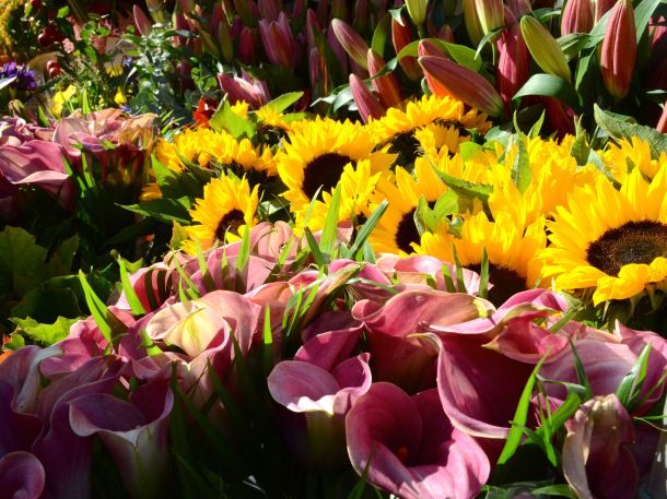 Call Me Katie - Columbia Road Flower Market in East London - 14