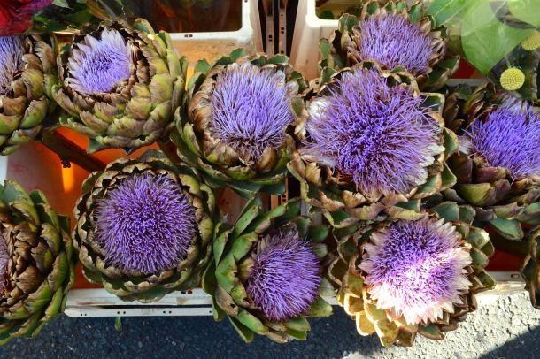 Call Me Katie - Columbia Road Flower Market in East London - 16