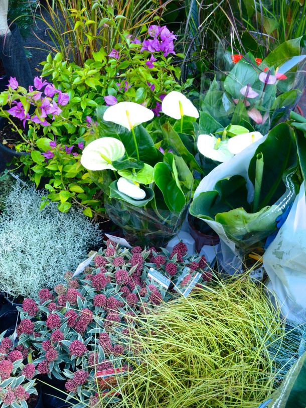 Call Me Katie - Columbia Road Flower Market in East London - 20