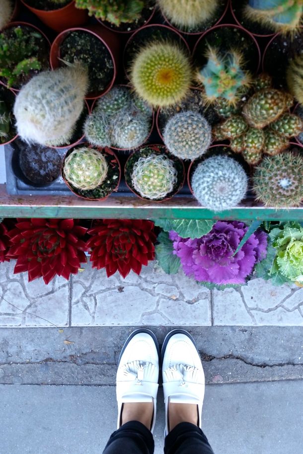 Inspired by the succulents on the table (seen in the first picture above!), Sally Says Beauty and I ended up scouting out some succulents for ourselves post-class. 