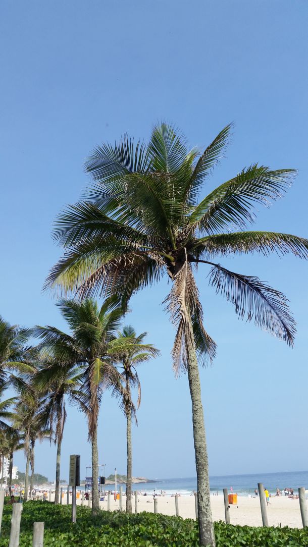 Call Me Katie - beach days at Copacabana, Ipanema and Leblon in Rio de Janeiro filled with fresh coconuts, blue skies and palm trees - 11