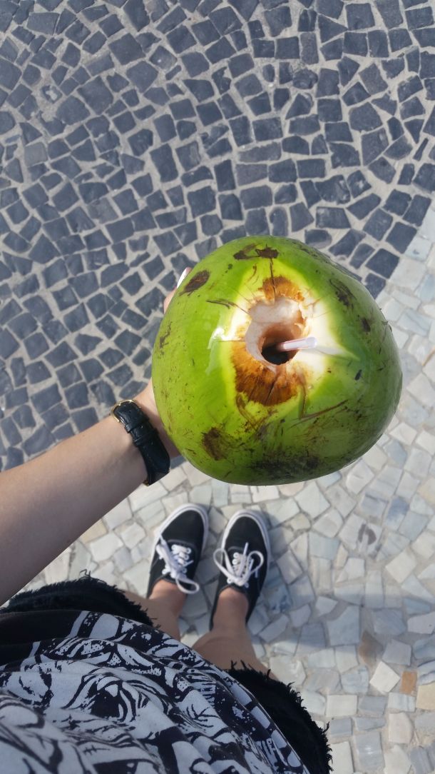Call Me Katie - beach days at Copacabana, Ipanema and Leblon in Rio de Janeiro filled with fresh coconuts, blue skies and palm trees - 16