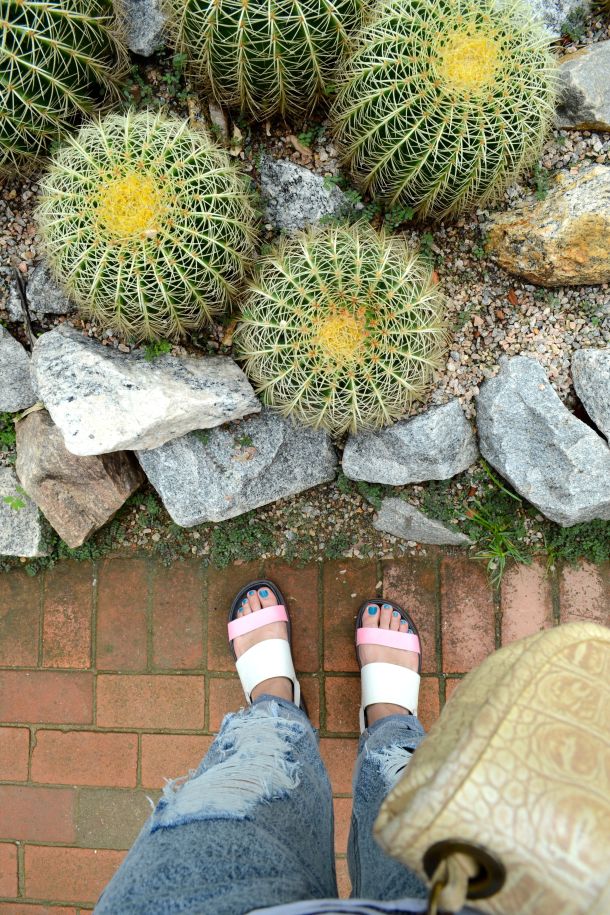 Call Me Katie - Rio de Janeiro Botanical Gardens - 04