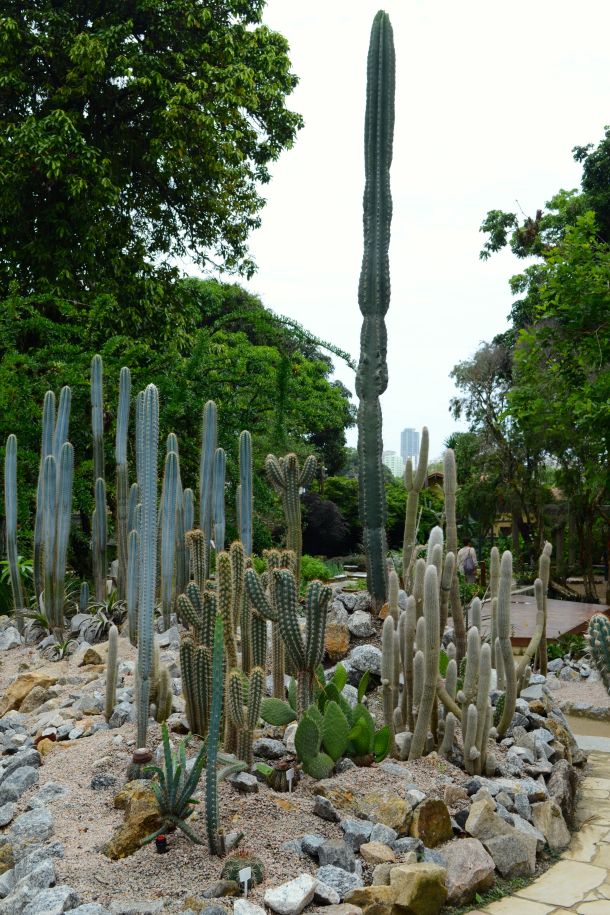 Call Me Katie - Rio de Janeiro Botanical Gardens - 06