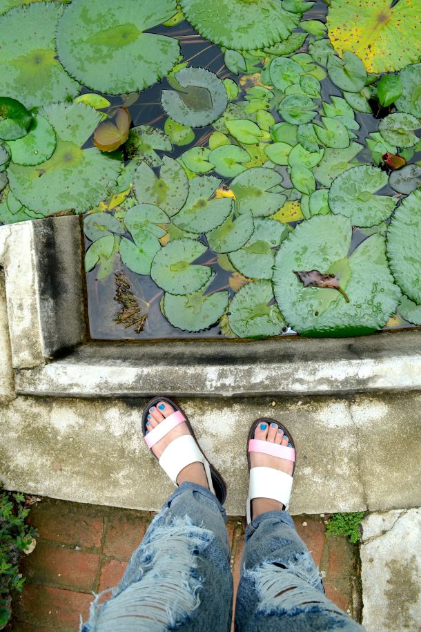 Call Me Katie - Rio de Janeiro Botanical Gardens - 07