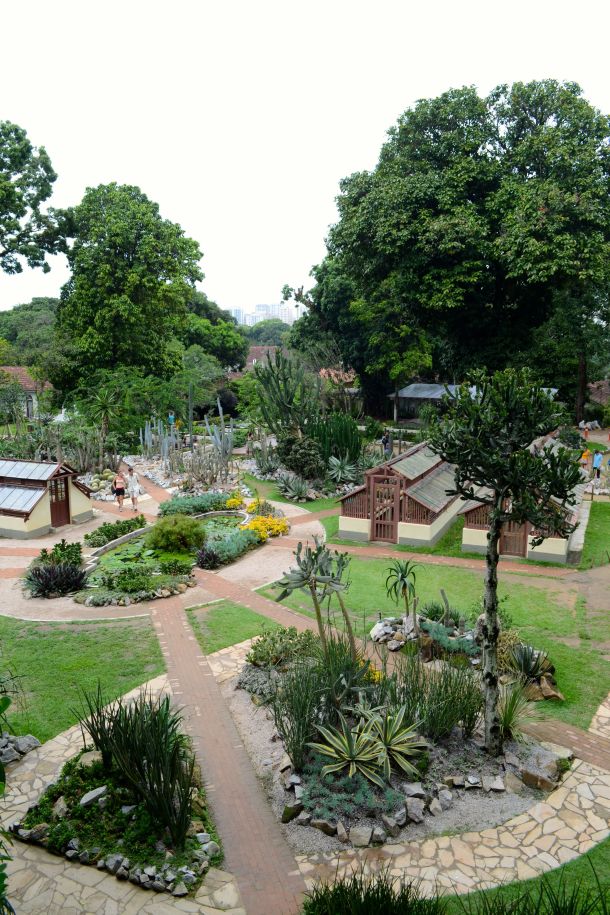 Call Me Katie - Rio de Janeiro Botanical Gardens - 08