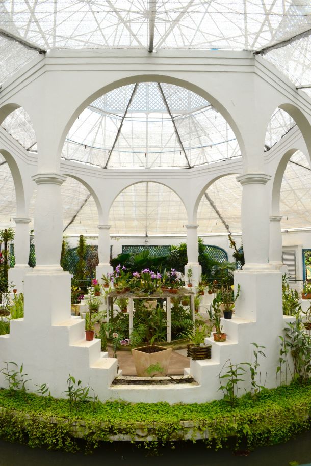 Call Me Katie - Rio de Janeiro Botanical Gardens - 12