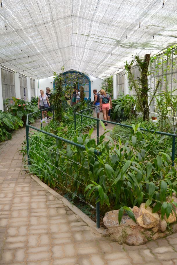 Call Me Katie - Rio de Janeiro Botanical Gardens - 17