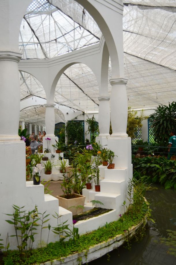 Call Me Katie - Rio de Janeiro Botanical Gardens - 20