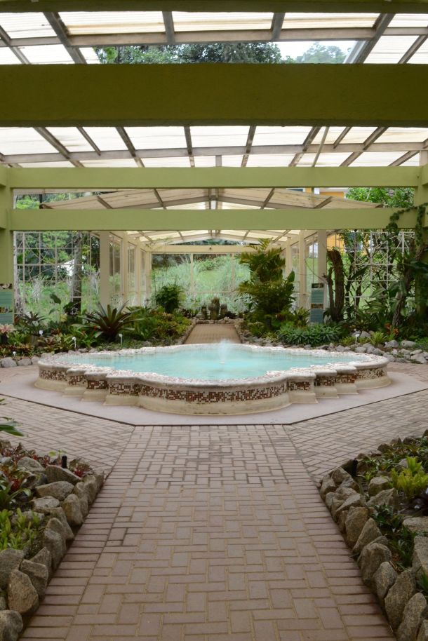 Call Me Katie - Rio de Janeiro Botanical Gardens - 21