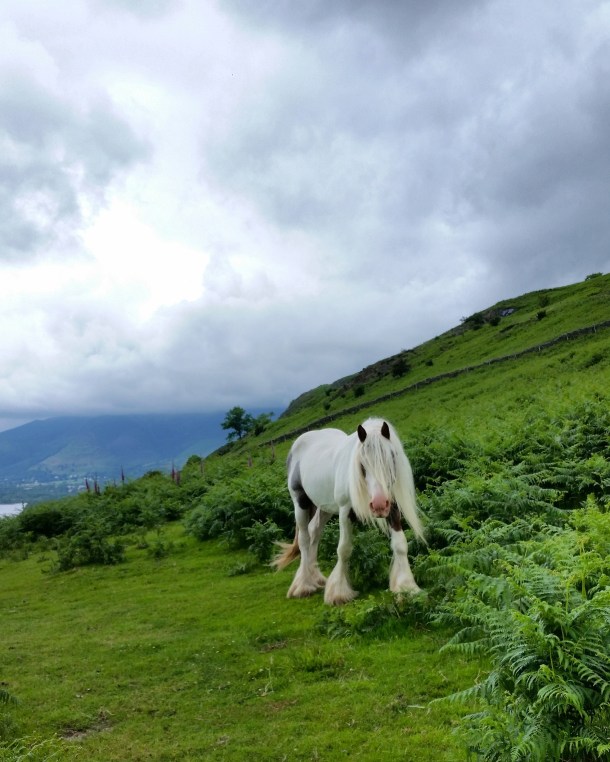 Call Me Katie - Lake District Day 2 at Walla Crag, Surprise View and Keswick in Cumbria 16