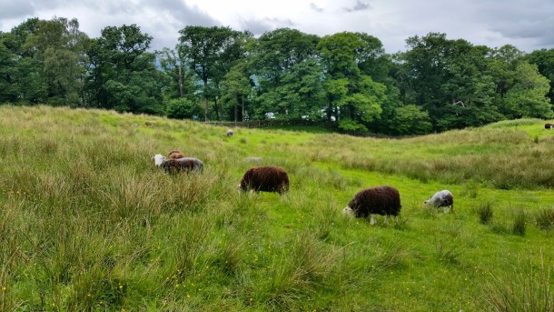 Call Me Katie - Lake District Day 2 at Walla Crag, Surprise View and Keswick in Cumbria 17
