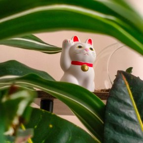 An analogy about&nbsp;growth